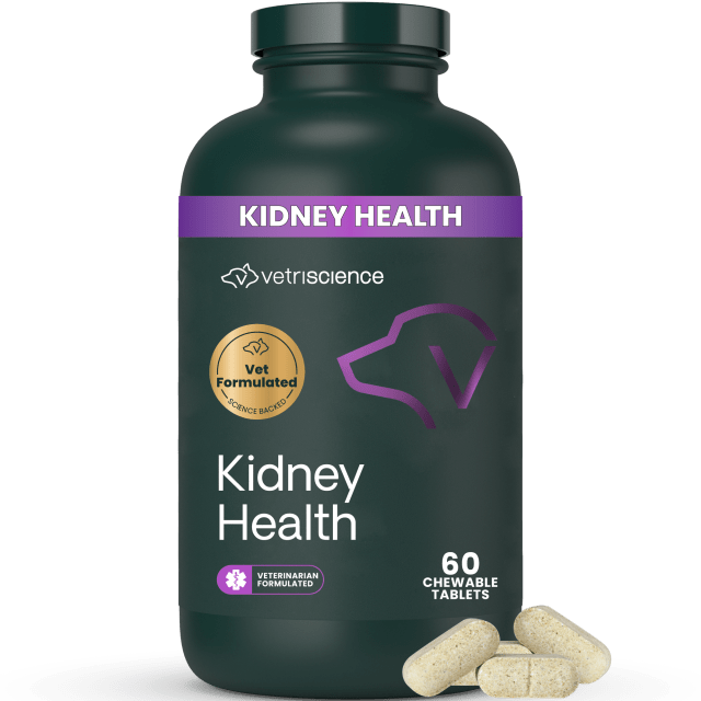 VS Kidney Health Tablets, Dogs, Smoke, 60ct