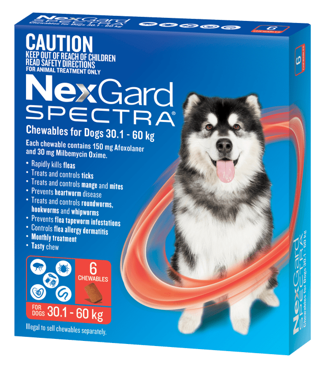 NexGard SPECTRA Chews for Very Large Dogs