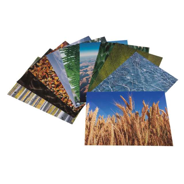 Craft Paper - Nature Prints