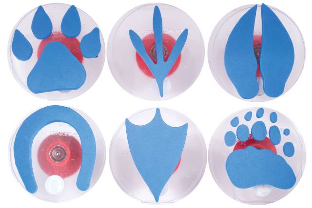 Giant Stampers - Paw Prints - Set of 6