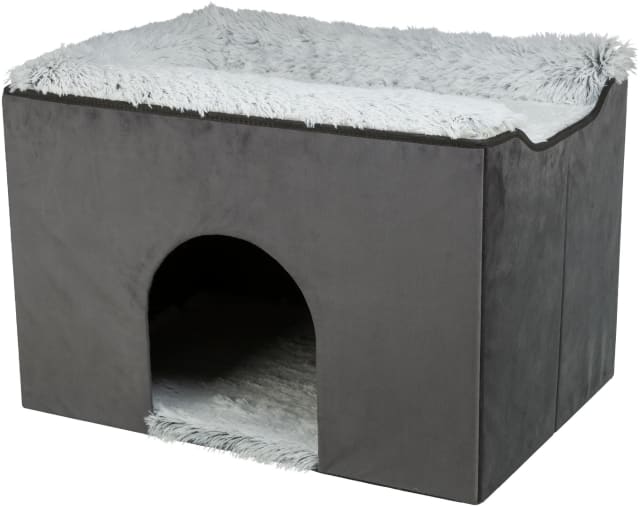 38038