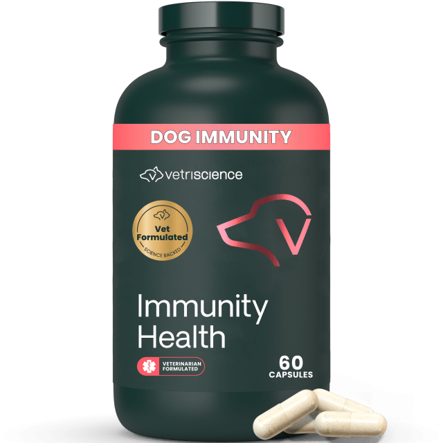 VS Immunity Health Capsules, Small Dogs, 60ct