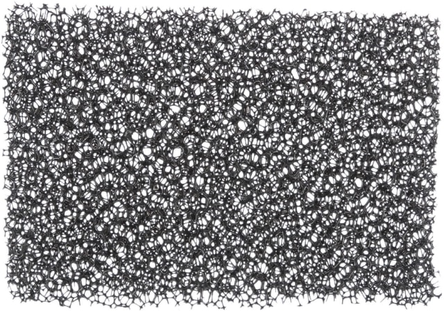 24445