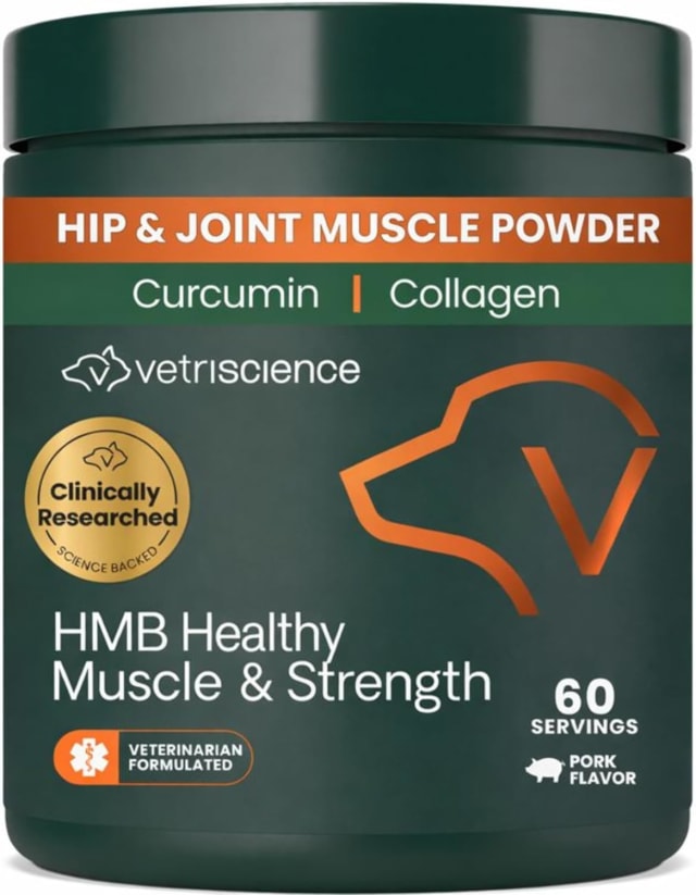 VS HMB Healthy Muscle and Strength, Granules, 60 Scoops