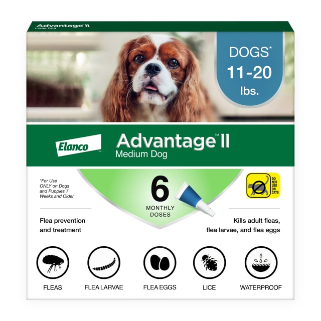 Advantage II Medium Dog Vet-Recommended Flea Treatment & Prevention | Dogs 11-20 lbs. | 6-Month Supply