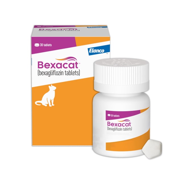 Bexacat (bexagliflozin tablets) Diabetes Mellitus Treatment for Cats 6.6 lbs & Over | 15 mg Tablets, 30ct