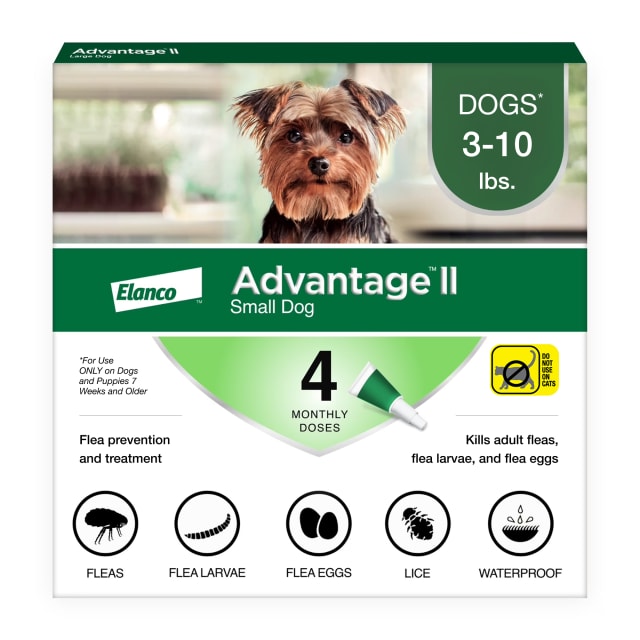 Advantage II Small Dog Vet-Recommended Flea Treatment & Prevention | Dogs 3-10 lbs. | 4-Month Supply