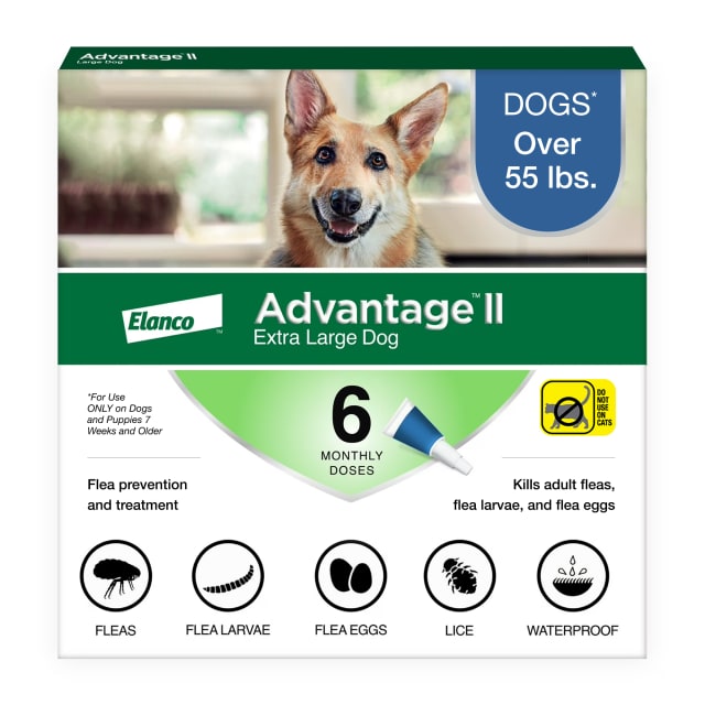 Advantage II XL Dog Vet-Recommended Flea Treatment & Prevention | Dogs Over 55 lbs. | 6-Month Supply