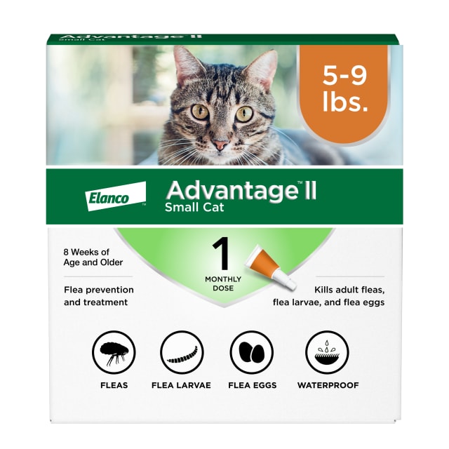 Advantage II Small Cat Vet-Recommended Flea Treatment & Prevention | Cats 5-9 lbs. | 1-Month Supply