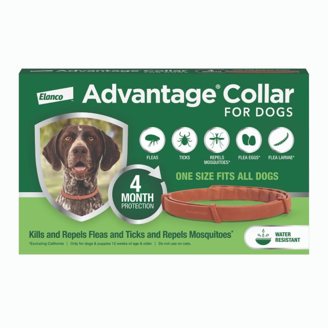Advantage Collar Dog, Flea & Tick Collar for Dogs & Puppies, One Size Fits All, 4-Month Protection
