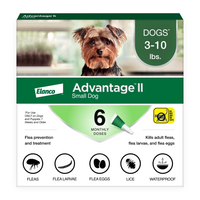 Advantage II Small Dog Vet-Recommended Flea Treatment & Prevention | Dogs 3-10 lbs. | 6-Month Supply