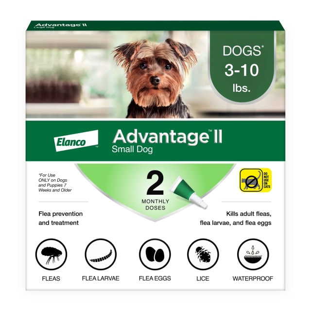 Advantage II Small Dog Vet-Recommended Flea Treatment & Prevention | Dogs 3-10 lbs. | 2-Month Supply