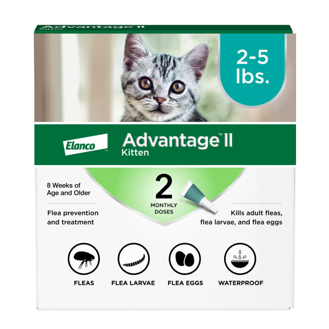 Advantage II Kitten Flea Treatment & Prevention, Cats 2-5 lbs. (2 Monthly Doses)