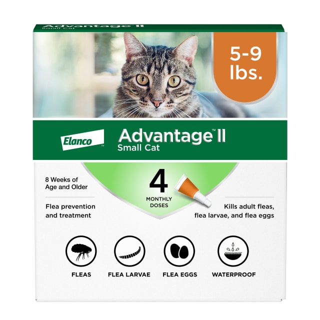 Advantage II Small Cat Flea Treatment & Prevention, Cats 5-9 lbs. (4 Monthly Doses)