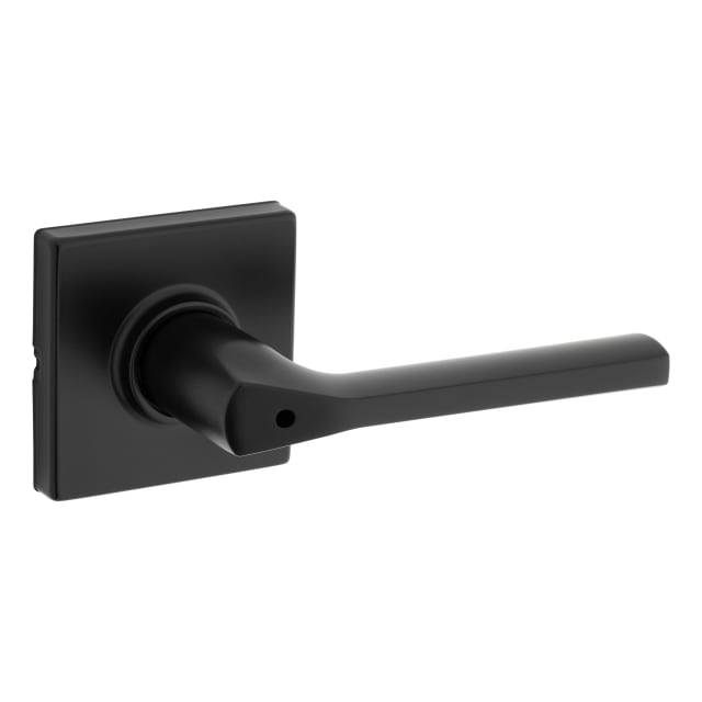 Haylen Privacy Door Lever in Matte Black