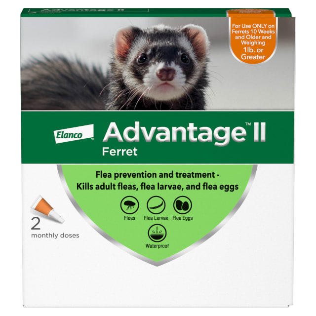 Advantage II Ferret Vet-Recommended Flea Treatment & Prevention | Ferret 1+ lbs. | 2-Month Supply