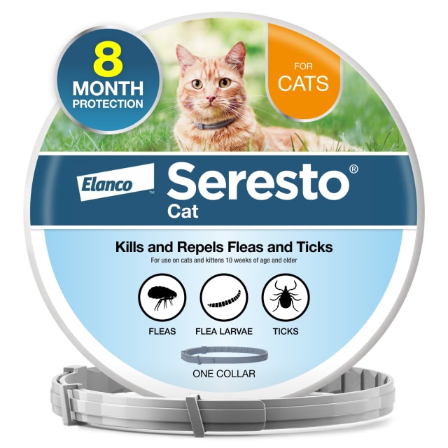 Seresto Vet-Recommended Flea & Tick Collar For Cats & Kittens, 8-Month Protection (1 Count)