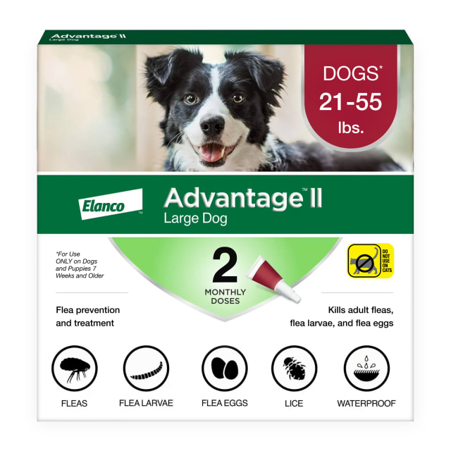 Advantage II Large Dog Vet-Recommended Flea Treatment & Prevention | Dogs 21-55 lbs. | 2-Month Supply