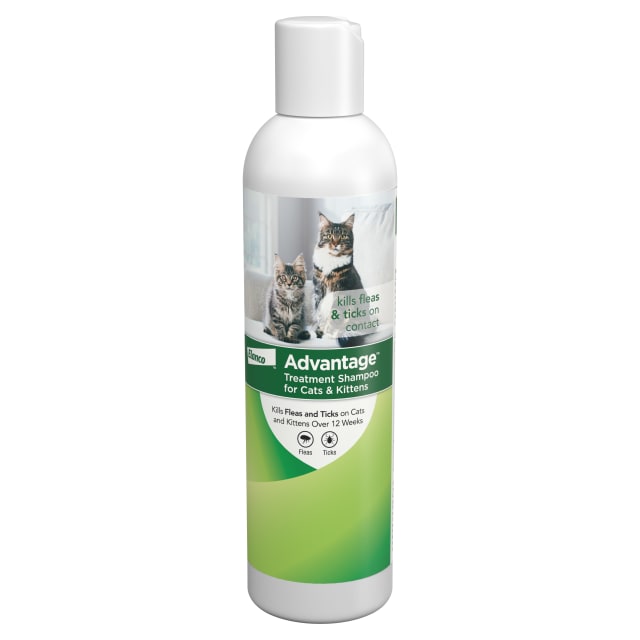 Advantage Cat Flea & Tick Shampoo for Kittens & Adult Cats | Kills Fleas & Ticks | 8 oz.
