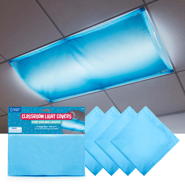 EDUCATIONAL INSIGHTS FLUORESCENT LIGHT F