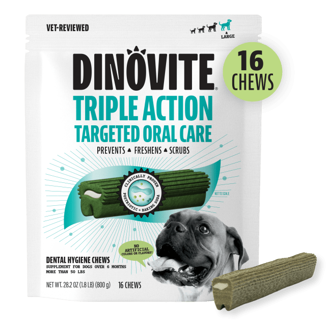 DV K9 DENTAL CHEW LARGE EC 6/16 CT