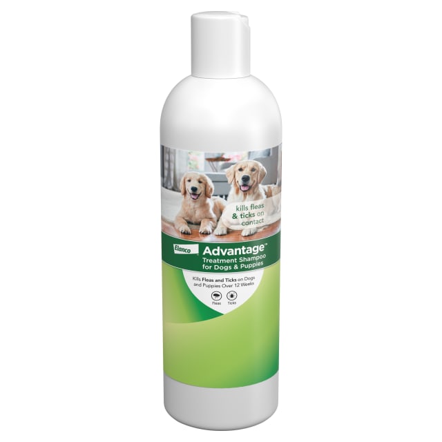 Advantage Dog Flea & Tick Shampoo for Puppies & Adult Dogs | Kills Fleas & Ticks | 12 oz.