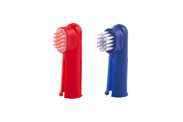 Dental Care Kit