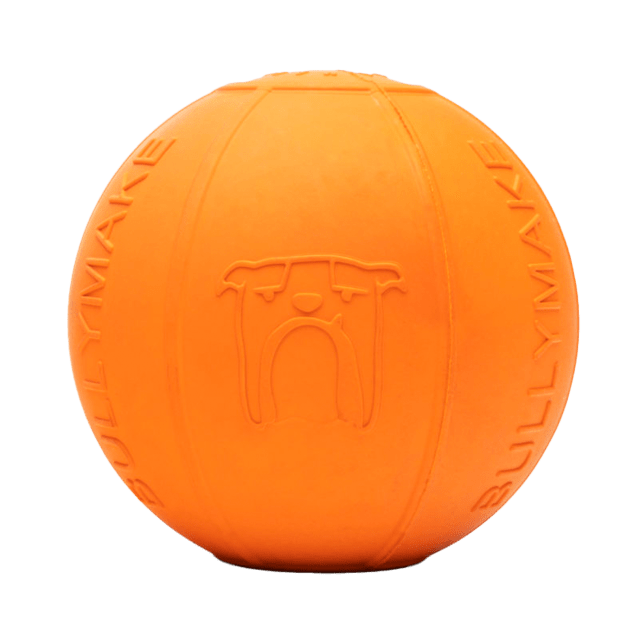 BULLYMAKE Toss N' Treat Orange Beach Ball - Unscented