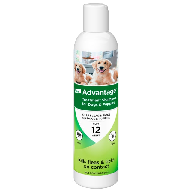 Advantage Dog Flea & Tick Shampoo for Puppies & Adult Dogs | Kills Fleas & Ticks | 24 oz.