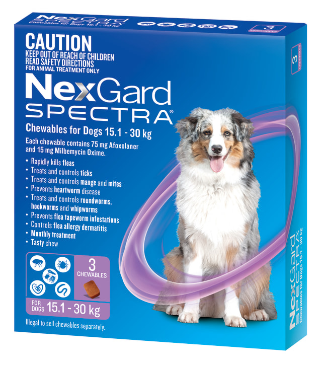 NexGard SPECTRA Chews for Large Dogs