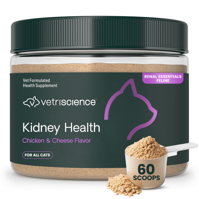 VS Kidney Health Powder, Cats, Chicken & Cheese, 60 Scoops