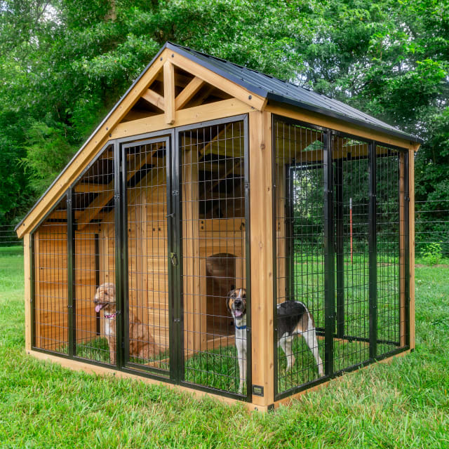 Canine Cabin