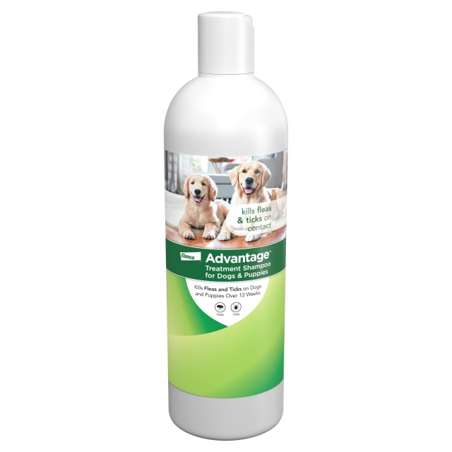 Advantage Dog Flea & Tick Shampoo for Puppies & Adult Dogs | Kills Fleas & Ticks | 24 oz.