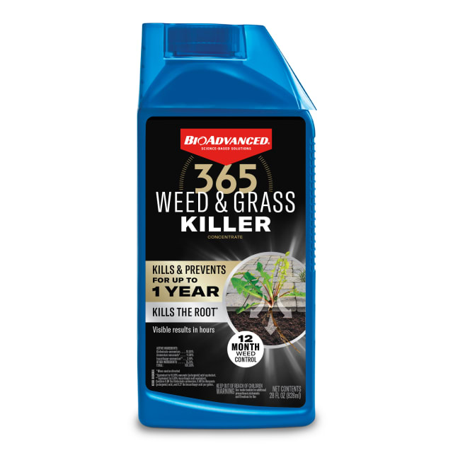 820055B, BioAdvanced 365 Weed &amp; Grass Killer, Concentrate, 28 Oz