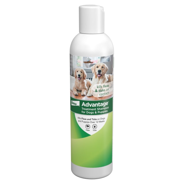 Advantage Dog Flea & Tick Shampoo for Puppies & Adult Dogs | Kills Fleas & Ticks | 8 oz.
