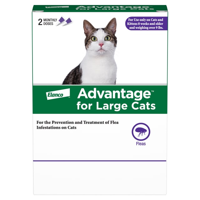 Advantage Topical Cat Flea Treatment and Prevention For Large Cats Over 9 lbs. | Apply Flea Drops Monthly | 2 Treatments