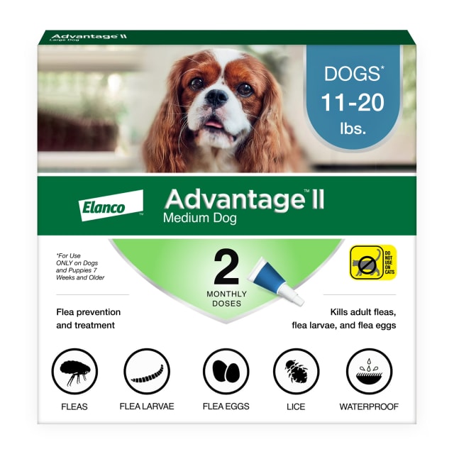 Advantage II Medium Dog Vet-Recommended Flea Treatment & Prevention | Dogs 11-20 lbs. | 2-Month Supply