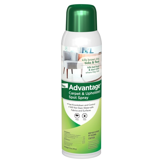 Advantage Carpet & Upholstery Spot Spray | Kills Fleas & Ticks & Bedbugs | 16 oz.