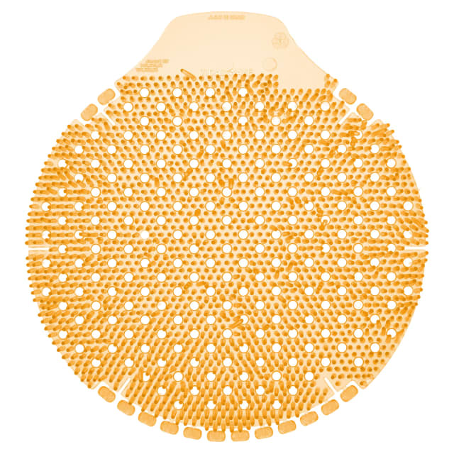 Tidal Wave Summer Sunshine (36 Pack)