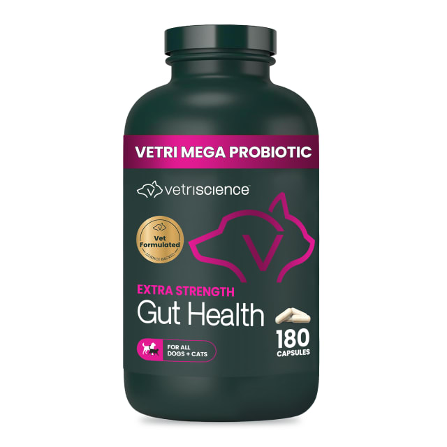 VS Extra Strength Gut Health, Capsules, 180ct