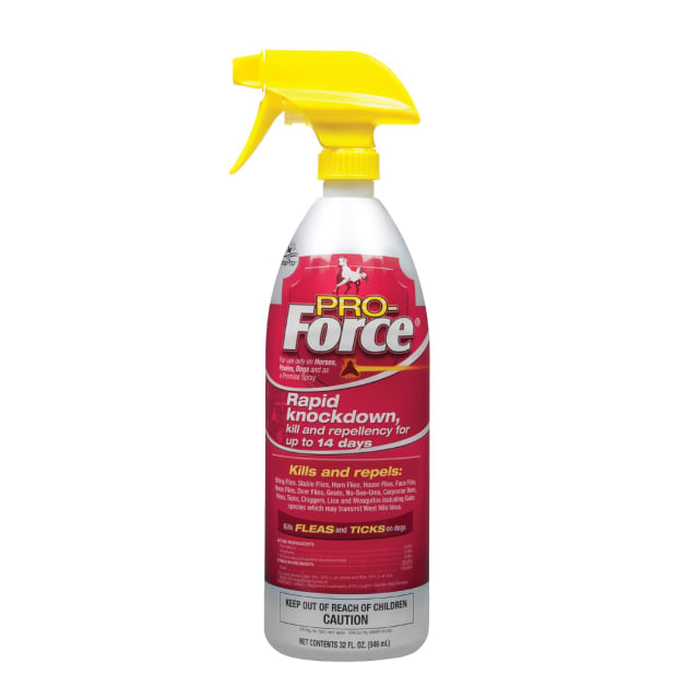 Manna Pro Pro-Force Fly Spray | Rapid Knockdown Fly Repellent for Horses | Repels More than 70 Listed Species for up to 14 Days | 32 oz