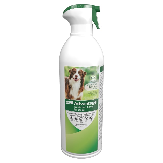 Advantage Dog Flea Treatment Spray | Kills Fleas & Ticks | Dog Flea Spray | 15 oz.
