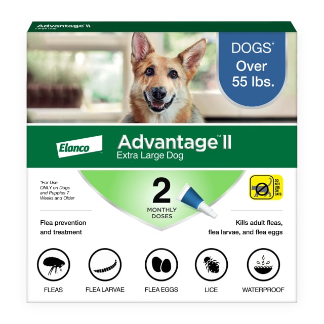 Advantage II XL Dog Vet-Recommended Flea Treatment & Prevention | Dogs Over 55 lbs. | 2-Month Supply