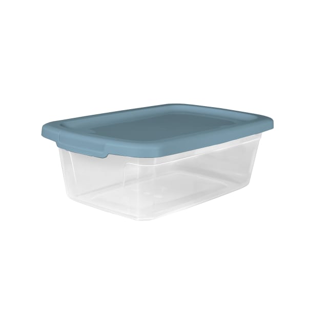 Home Logic Medium 3.25-Gallon (13-Quart) Clear Storage Bin