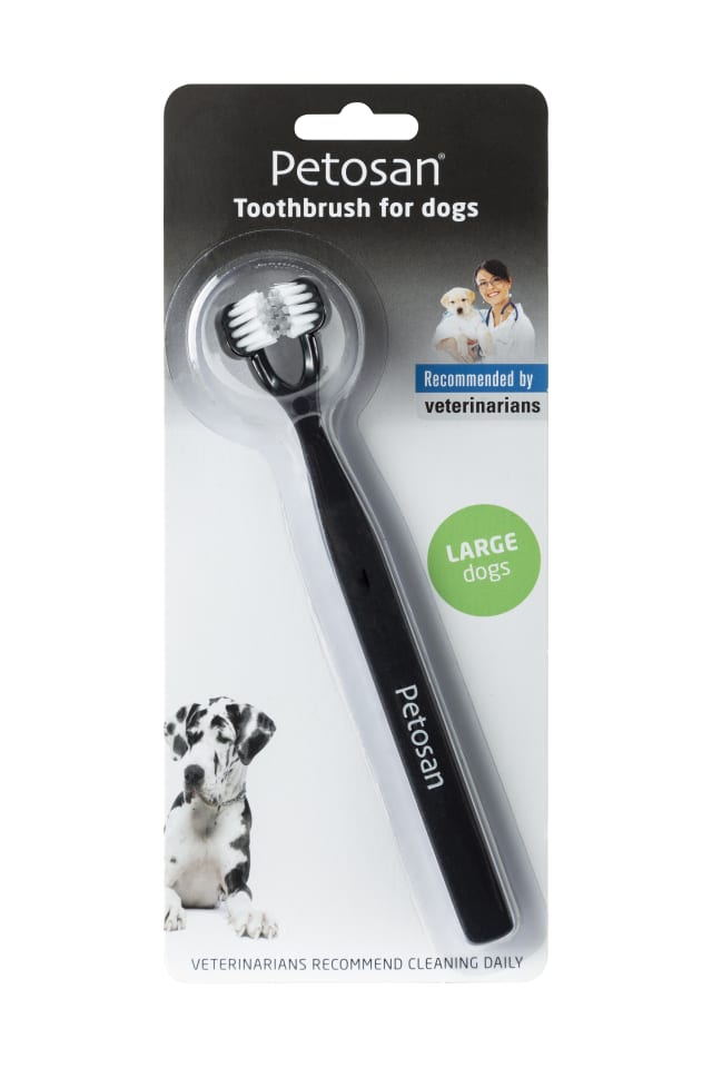 Double Headed Toothbrushes