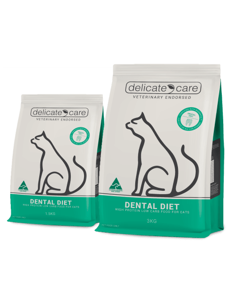 Delicate Care Cat Dental Diet