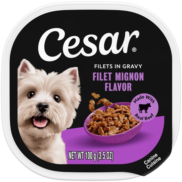 CESAR Adult Soft Wet Dog Food Filets in Gravy Filet Mignon Flavor, (24) 3.5 oz. Trays