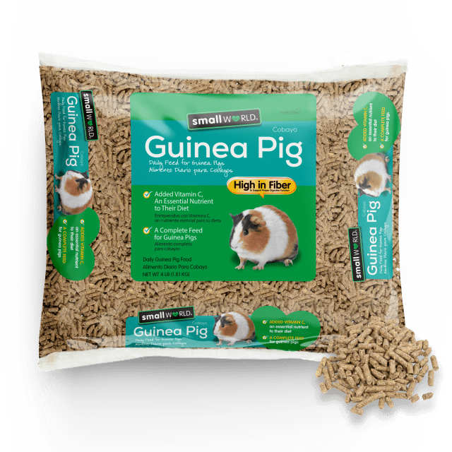Small World Guinea Pig, 4 lb