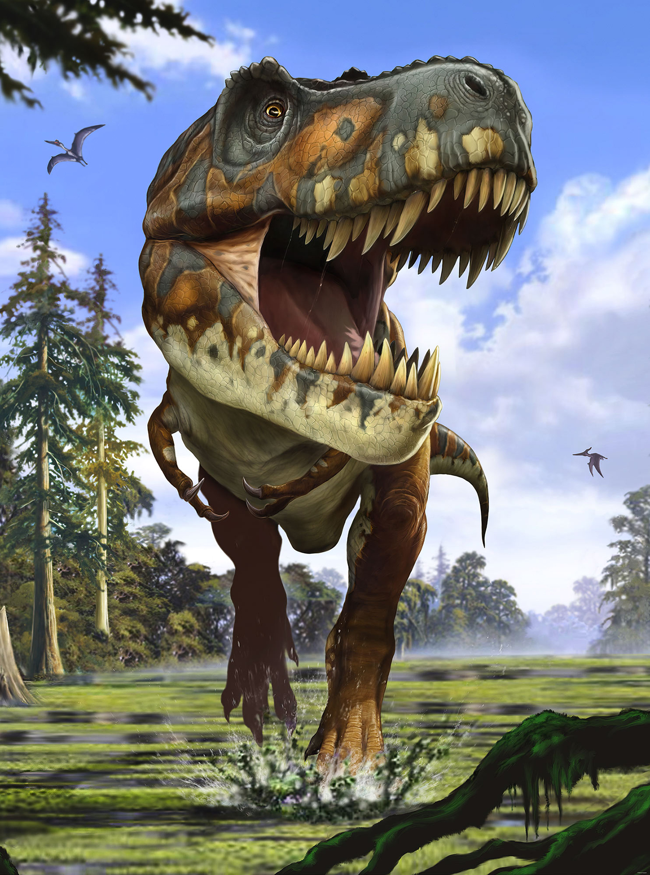 Tyrannosaurus Rex Wall Mural | York Design Group Product Catalog