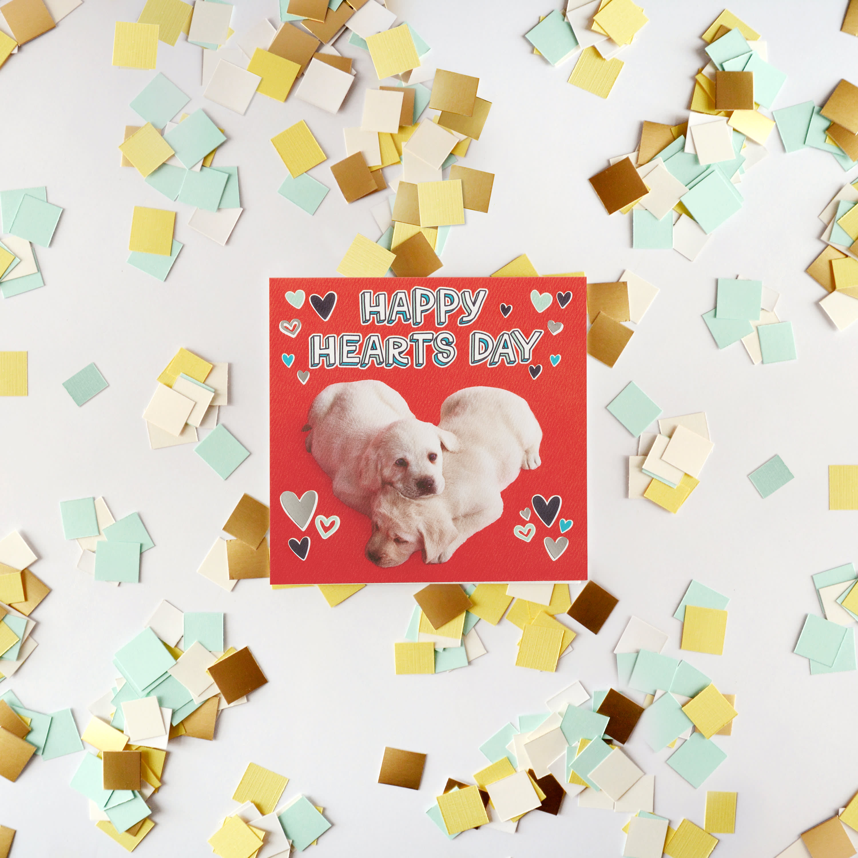Puppies Valentine's Day Cards, 6-Count image